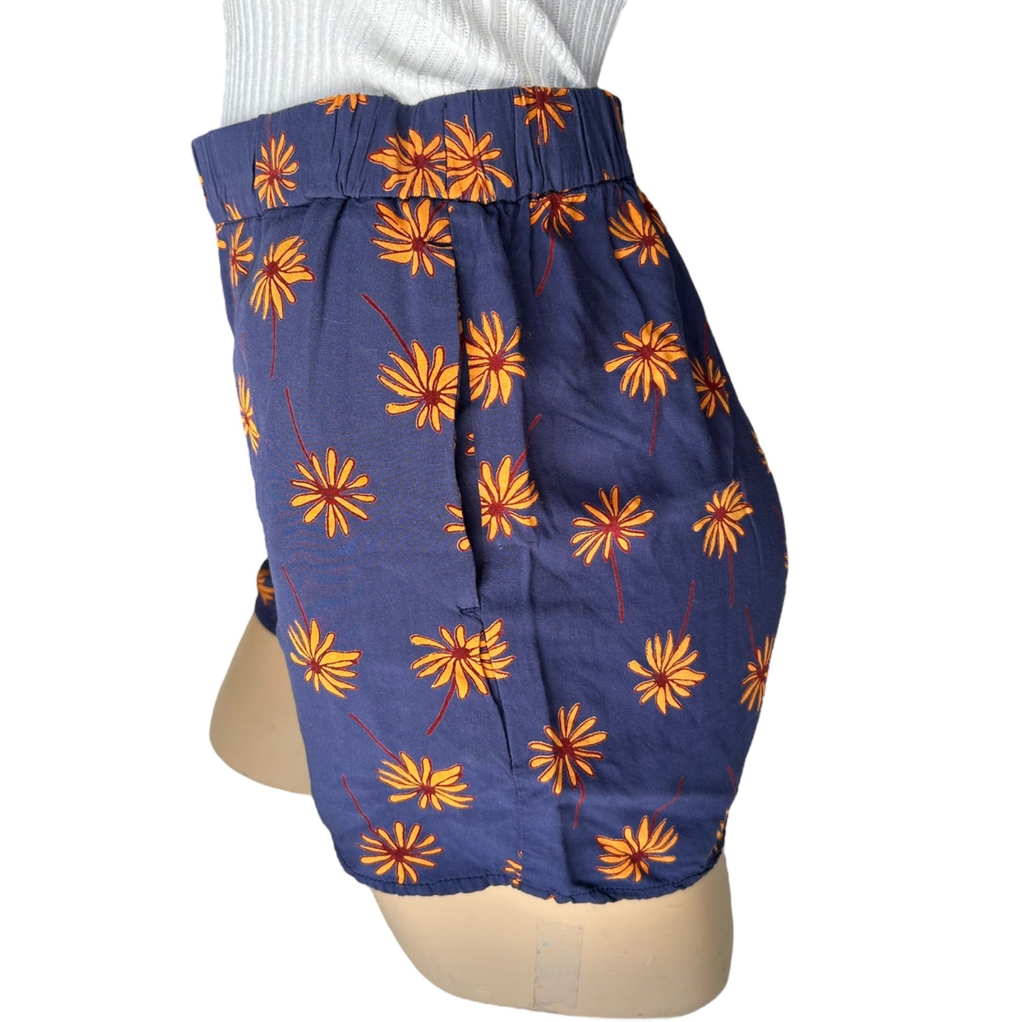 Madewell Women's Size X-Small Blue Floral Casual Shorts