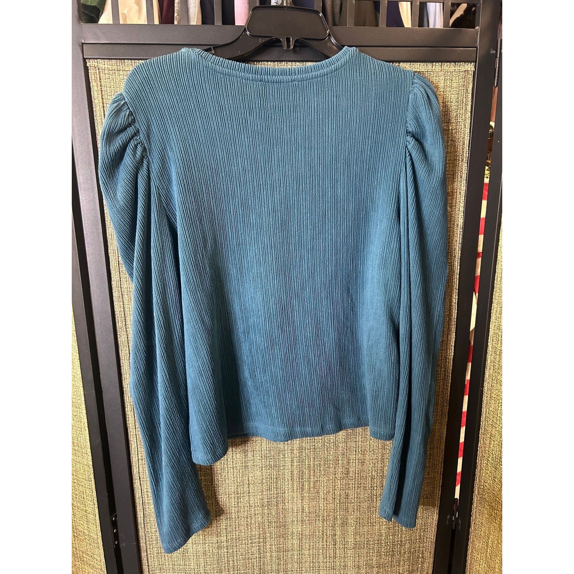 #1009 Zara Women's Size Large Teal Ribbed Long-Sleeve Top With Puff Shoulders